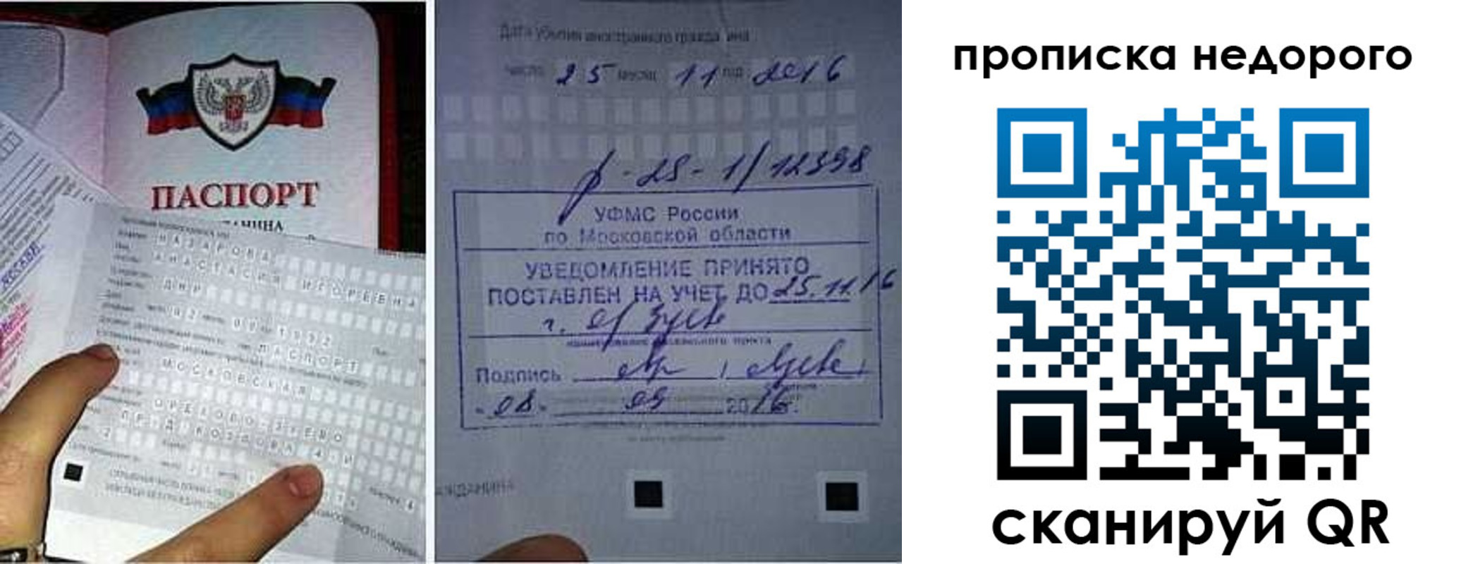 прописка от собственника в Белгородской области