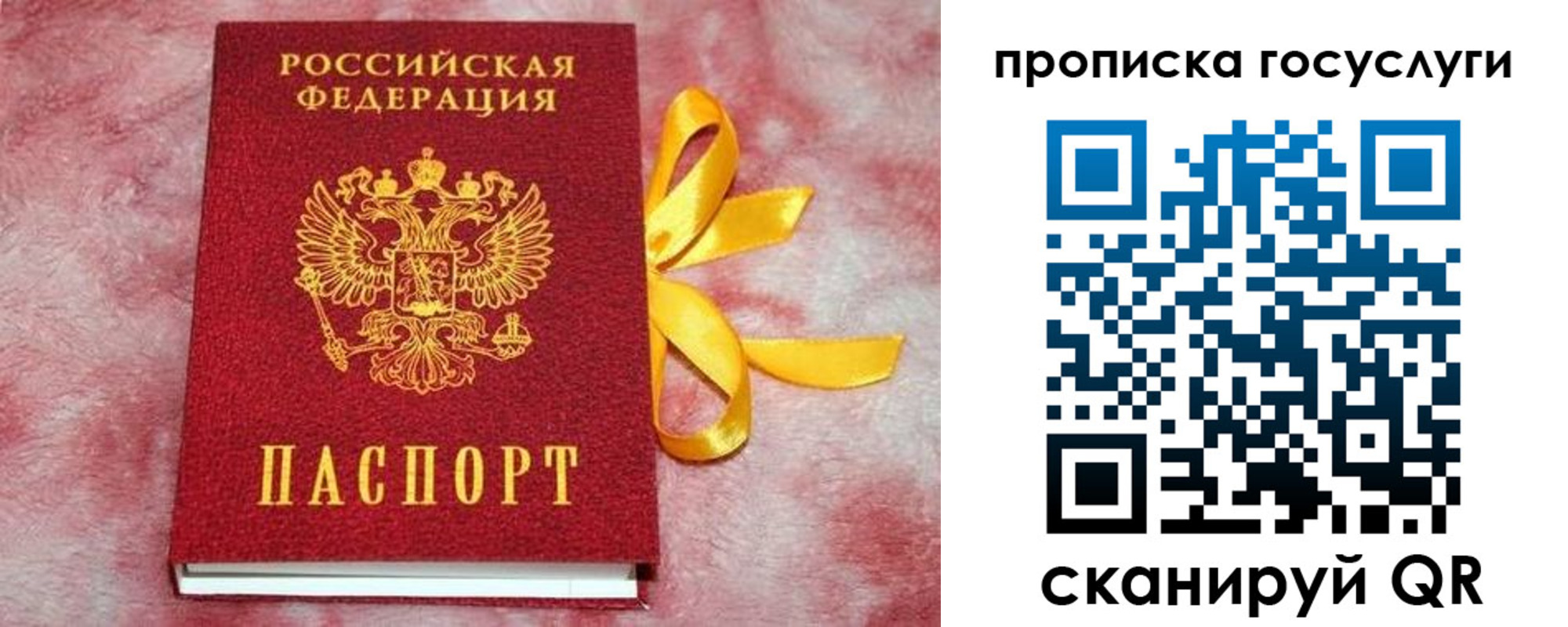 регистрация в Белгородской области